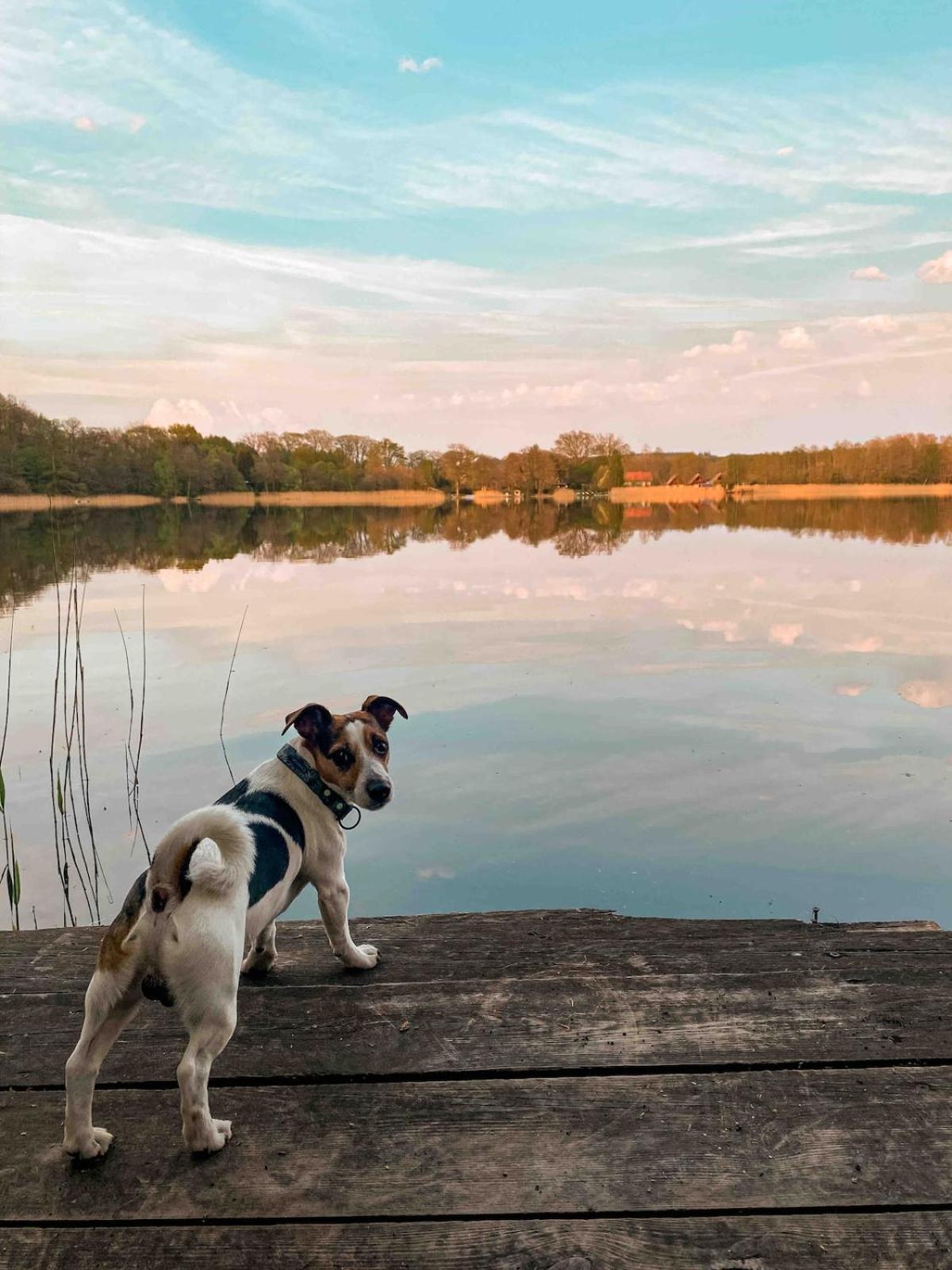 Rajska Cisza - Caloroczny Prywatny Domek W Lesie Nad Jeziorem - Sauna I Balia Krąg Exterior foto